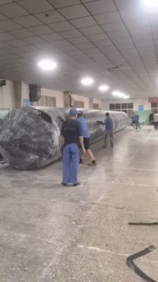 Prężnica 30-5000 mm Poduszka powietrzna do uruchamiania statków zapewniająca maksymalną wydajność w instalacji wirowej lub podnoszącej